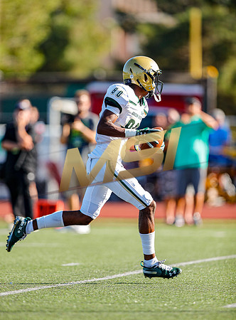 2019 Honor Bowl: JSerra Lions vs St. Joseph Regional Green Knights