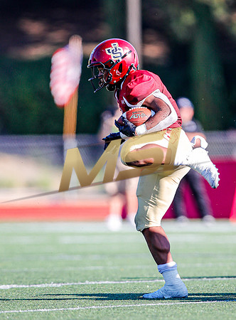 2019 Honor Bowl: JSerra Lions vs St. Joseph Regional Green Knights