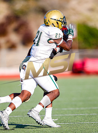 2019 Honor Bowl: JSerra Lions vs St. Joseph Regional Green Knights