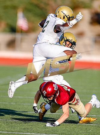 2019 Honor Bowl: JSerra Lions vs St. Joseph Regional Green Knights