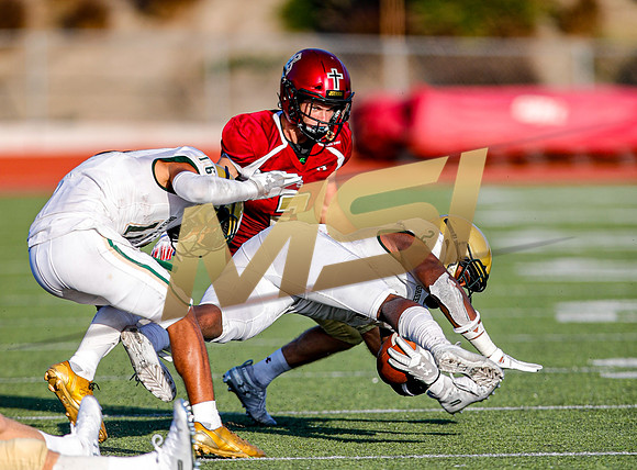 2019 Honor Bowl: JSerra Lions vs St. Joseph Regional Green Knights