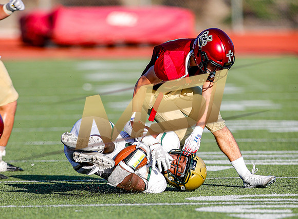 2019 Honor Bowl: JSerra Lions vs St. Joseph Regional Green Knights
