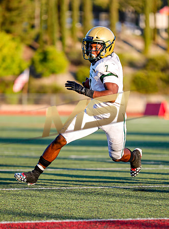 2019 Honor Bowl: JSerra Lions vs St. Joseph Regional Green Knights
