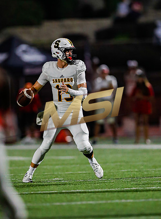 2019 Honor Bowl: Cathedral Catholic Dons vs Saguaro Sabercats