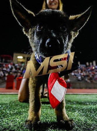 2019 Honor Bowl: Cathedral Catholic Dons vs Saguaro Sabercats