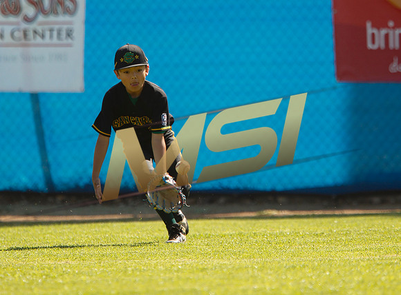 Little League All-Star Baseball All-Star Championship Game