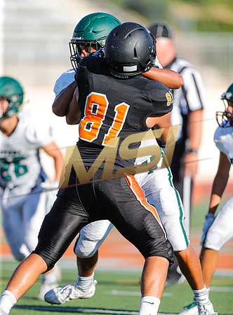 CIFSDS: Poway @ Escondido