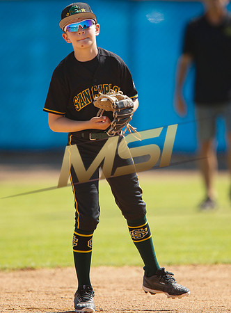 Little League All-Star Baseball All-Star Championship Game