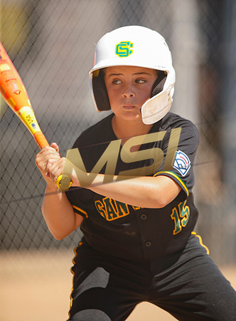 Little League All-Star Baseball All-Star Championship Game