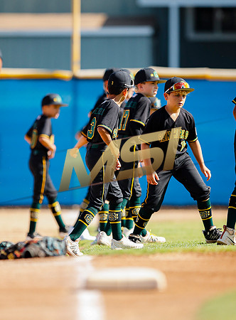 Little League All-Star Baseball All-Star Championship Game