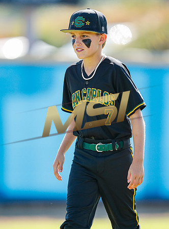 Little League All-Star Baseball All-Star Championship Game