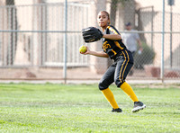 AIA Softball 4A Desert Sky