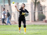AIA Softball 4A Desert Sky