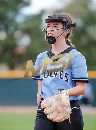 AIA Softball 4A