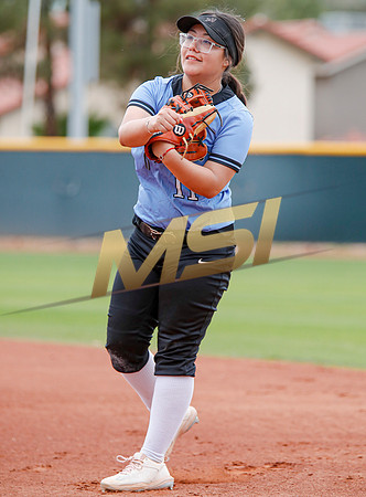AIA Softball 4A