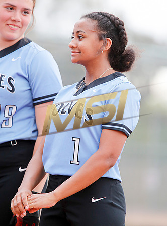 AIA Softball 4A