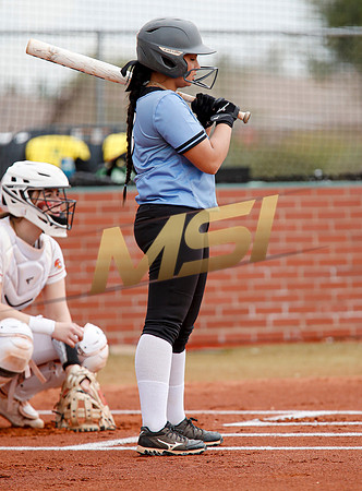 AIA Softball 4A