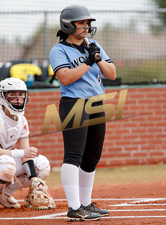AIA Softball 4A