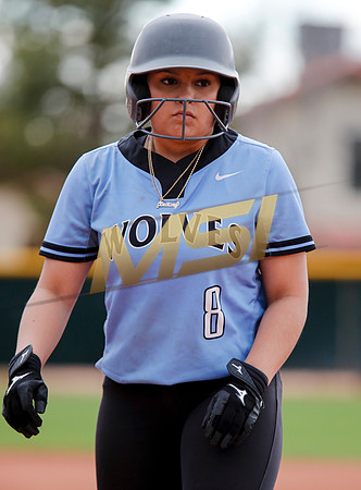AIA Softball 4A