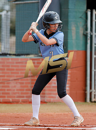 AIA Softball 4A