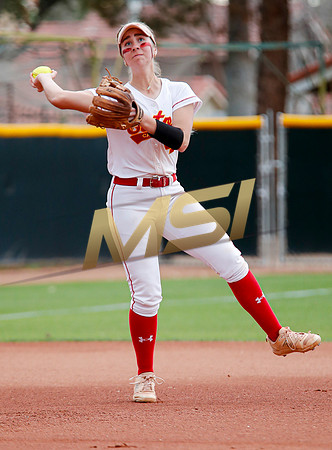 AIA Softball 4A