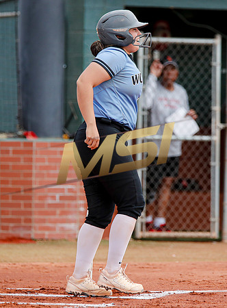 AIA Softball 4A