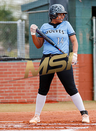 AIA Softball 4A