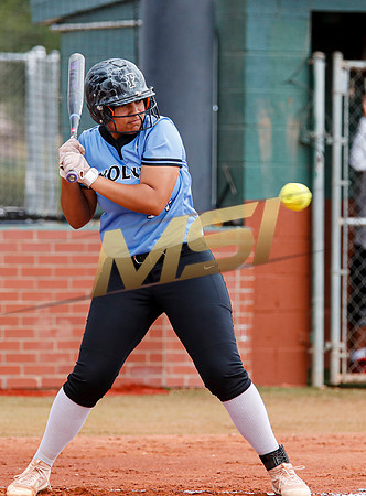 AIA Softball 4A