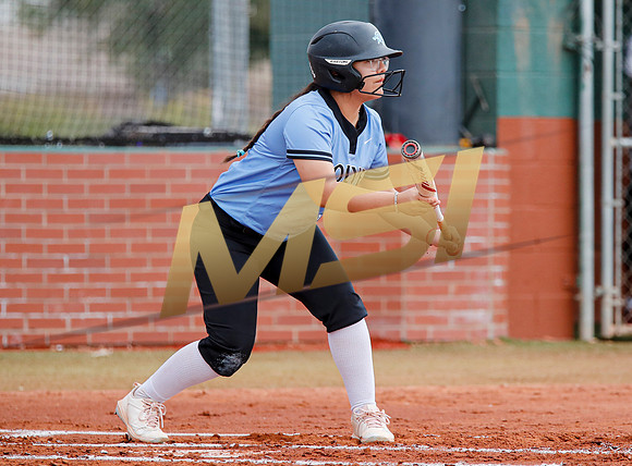 AIA Softball 4A