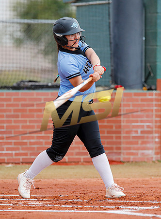 AIA Softball 4A