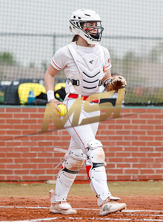 AIA Softball 4A