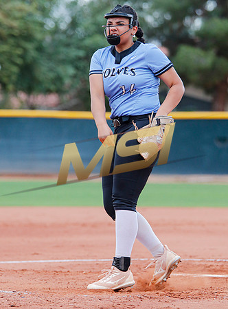 AIA Softball 4A