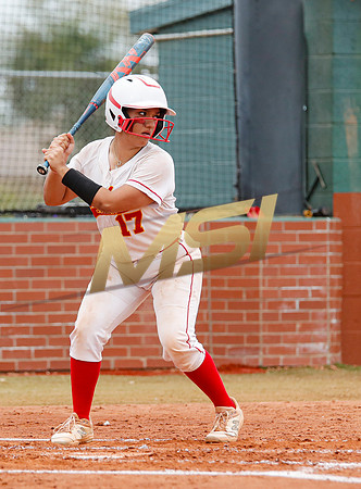 AIA Softball 4A