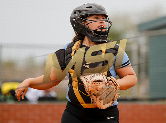 AIA Softball 4A