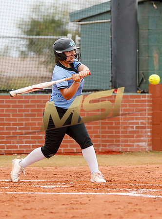 AIA Softball 4A