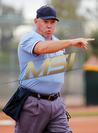 AIA Softball 4A