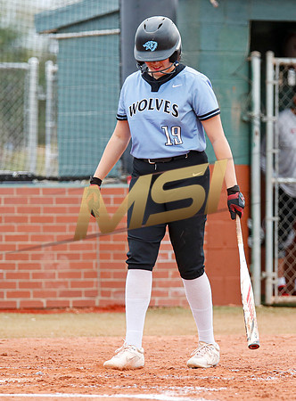 AIA Softball 4A