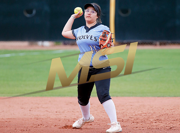 AIA Softball 4A