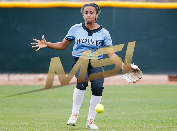 AIA Softball 4A