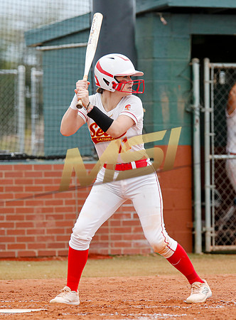 AIA Softball 4A