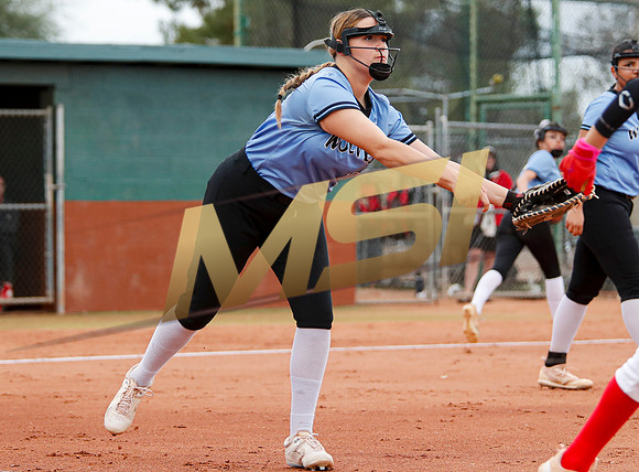 AIA Softball 4A
