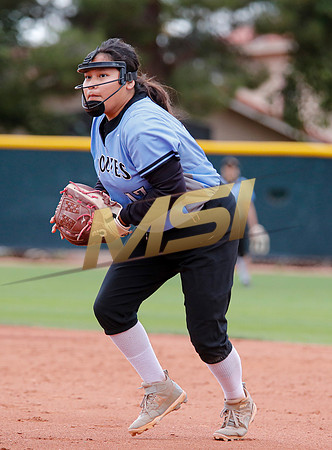 AIA Softball 4A