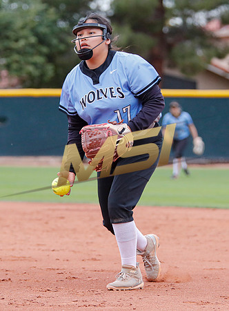 AIA Softball 4A