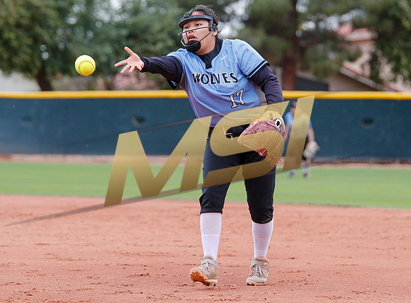 AIA Softball 4A