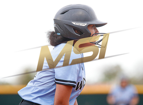 AIA Softball 4A