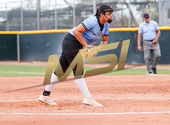AIA Softball 4A