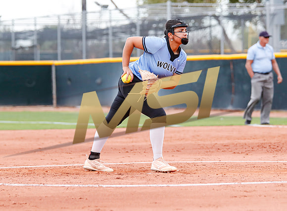 AIA Softball 4A