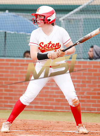 AIA Softball 4A