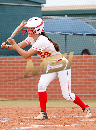 AIA Softball 4A