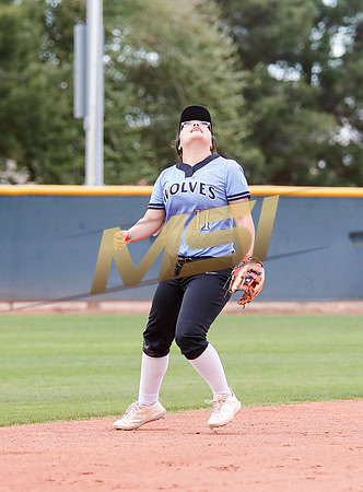 AIA Softball 4A